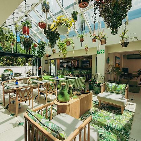 Le Petit Manoir Boutique Hotel Franschhoek Kültér fotó